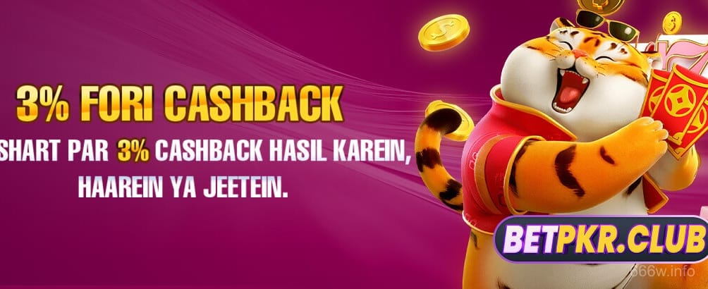 666w Promotional Banner 2